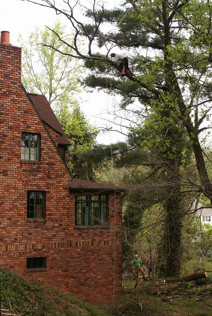 Rigged removal over the roofline, Kirkwood